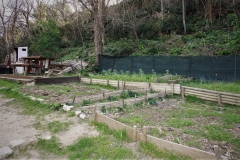 Jardin potager collectif