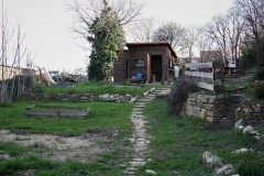 Jardin potager collectif