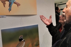 exposition regard naturel