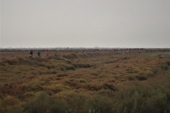 Grand Raid de Camargue