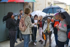 Plantes des rues