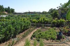 02_les jardins familiaux