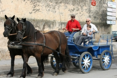 Journée Entre costières et marais à Gallician