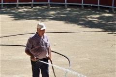 Lou Cosaque