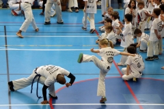 03_capoeira