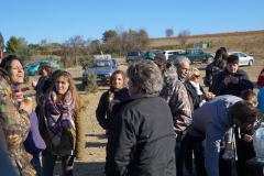amis et amateurs passionnés