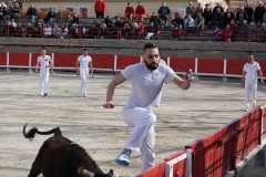 course camarguaise