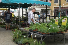 04 Marché de Vauvert