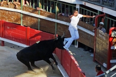 05_Cupidon_Zakraoui