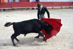 01_Capea_El Campo©Pierre Alcaraz Manzanares