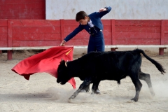 04_Capea_El Campo©Pierre Alcaraz Manzanares
