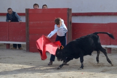 05_Capea_El Campo©Pierre Alcaraz Manzanares