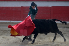 06_Capea_El Campo©Pierre Alcaraz Manzanares