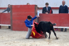 08_Capea_El Campo©Pierre Alcaraz Manzanares