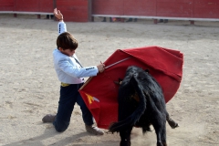 09_Capea_El Campo©Pierre Alcaraz Manzanares