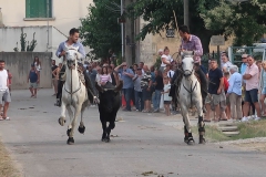 Fête de franquevaux 01