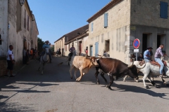 Fête de franquevaux 02
