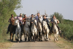 Fête de franquevaux 06