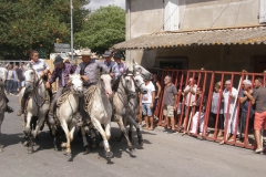 concours_abrivado05
