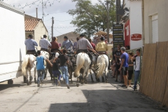 concours_abrivado07