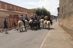concours_abrivado09