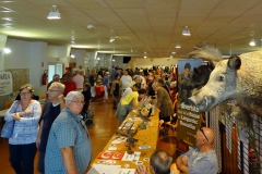 01_Aimargues_Fête des associations