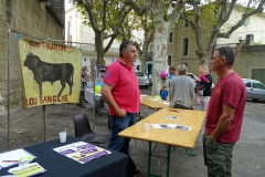 Le Cailar_Fête des associations 03