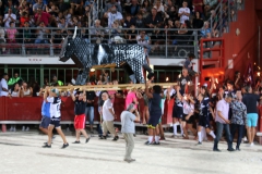 Fête votive de Vauvert