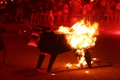 Fête votive de Vauvert