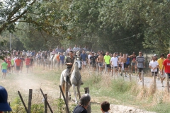 Déjeuner aux prés
