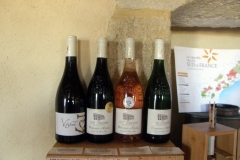Domaine du Vistre 011