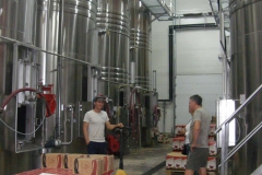 Domaine du Vistre 04