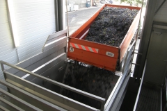 Vendanges_Gallician03