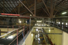 Vendanges_Gallician09