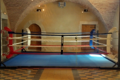 salledeboxe02