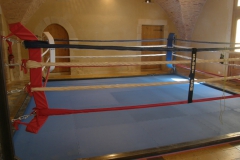 salledeboxe09
