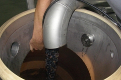 Vendanges au Domaine du Vistre 06