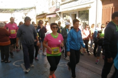 La vauverdoise (11)