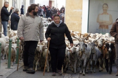 Marché de noël 2017 08