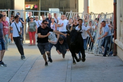 abriv-bandido-06