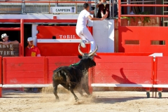Campeon_Pages-02
