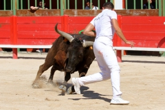 Cerf-Bennamar-01