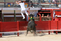vallespir_Bennamar-02