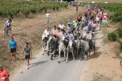 19_08-abrivado-03