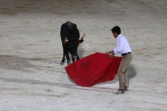 19_08-ecole-taurine-01