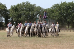 27_08-abrivado-02