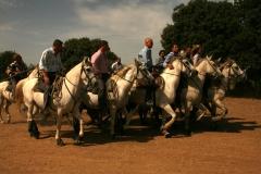 27_08-abrivado-04