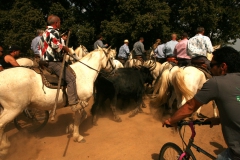 27_08-abrivado-05