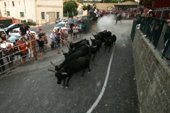 27_08-bandido-08