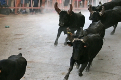 27_08-bandido-10